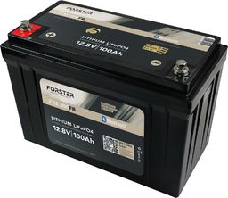 Produktabbildung Versorgungsbatterie  F12-100FBS